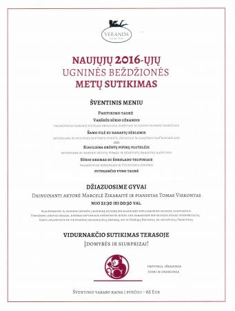 NAUJŲJŲ 2016-ųjų METŲ METŲ SUTIKIMAS svetainėje-bare VERANDA