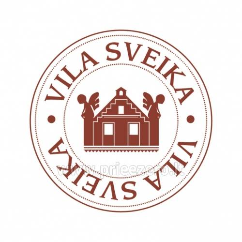 VILA SVEIKA NAUJI 2020 METAI
