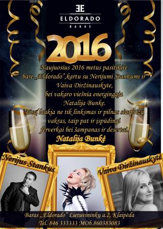 Naujųjų metų sutikimas