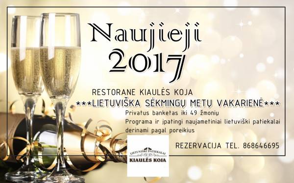 Naujametinis 2017 metų banketas privačiai kompanijai