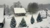 Poilsio sodyba prie Luod�io e�ero �iemos �vent�ms!