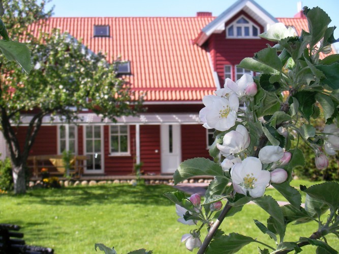 Apartamentai Palangoje OBELYNĖ