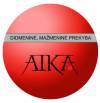 Metų simboliniai suvenyrai, šventinės prekės, Kalėdinės dovanos, žaislai. www.aika.lt